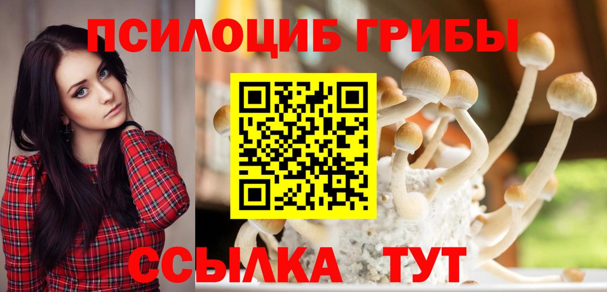 Псилоцибиновые грибы мицелий  Вход с VPN  купить наркотик  Оренбург  Псилоцибиновые грибы Psilocybe 